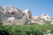 Cappadocia, the Rose valley